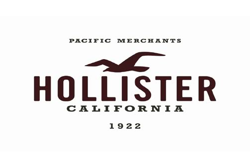 $25 Hollister Gift Card - Emailed